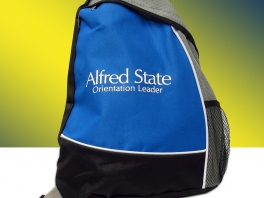 AlfredStateSlingSack