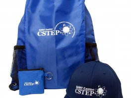 CSTEP_Group