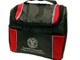 CornellLunchTote