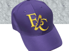 IPP102-ELmiraCollegeHat