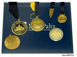 IPP113-DiplomaPlusAwards